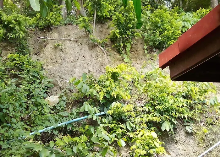 The Rock Hut